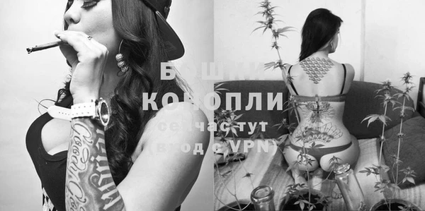 кокс Новодвинск