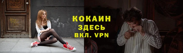 соль курить ск Новозыбков