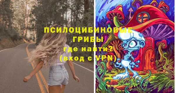 соль курить ск Новозыбков