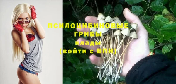 соль курить ск Новозыбков